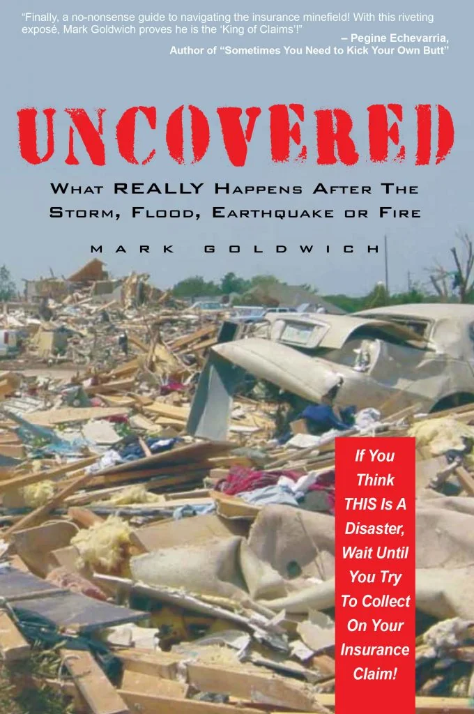 Uncovered: What really happens after the disaster.
